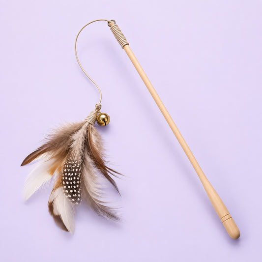 Canne à plumes Softy, photo packshot sur fond crème