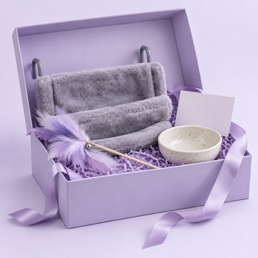 Coffret Bienvenue chaton Softy, photo packshot sur fond crème
