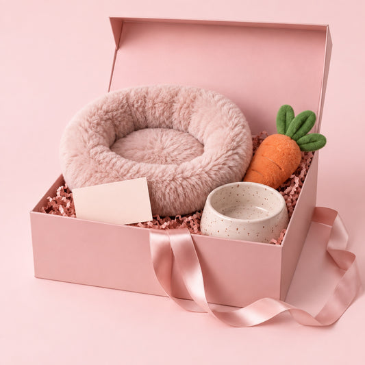 Coffret Bienvenue chiot Softy, photo packshot sur fond crème