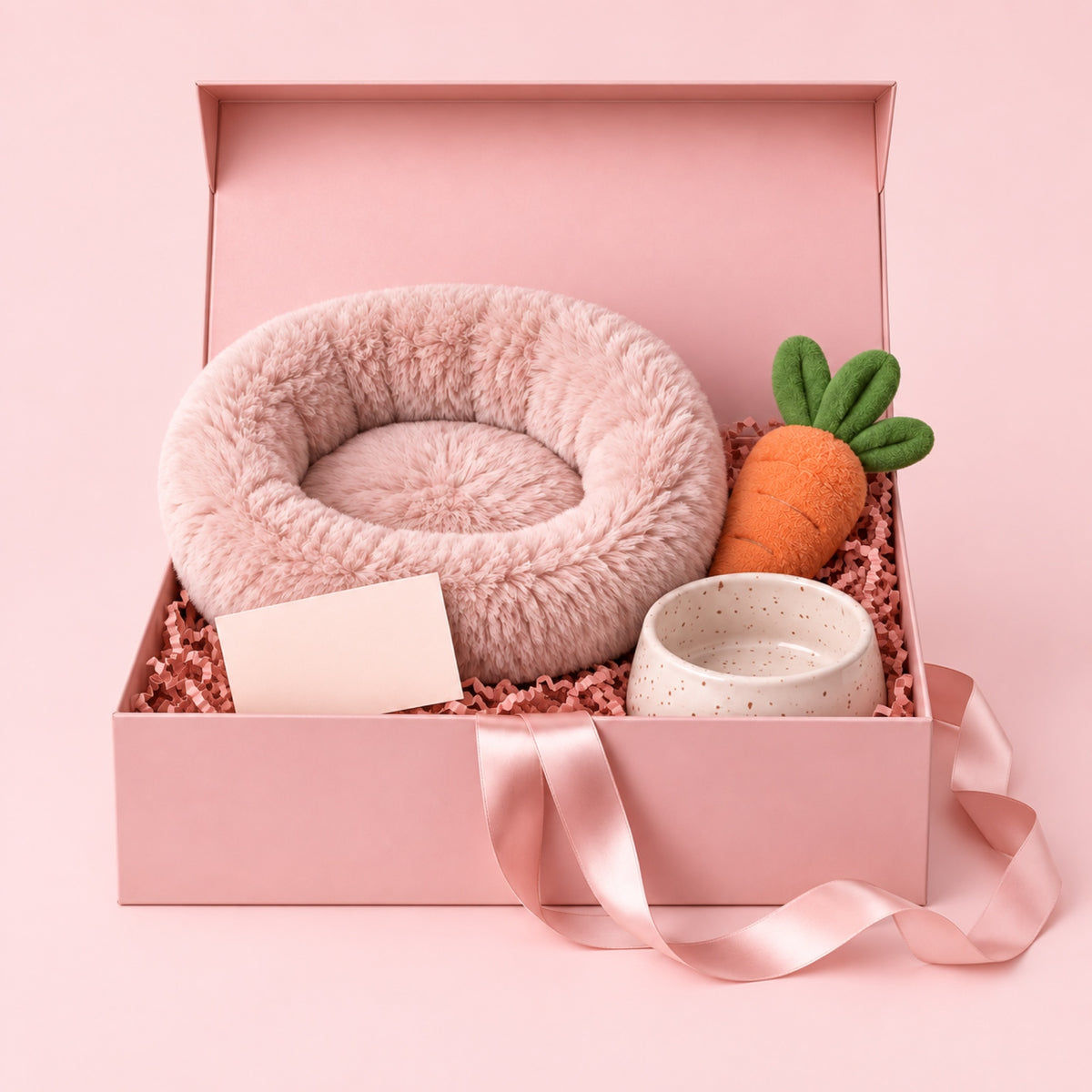 Coffret Bienvenue chiot Softy, vue de face