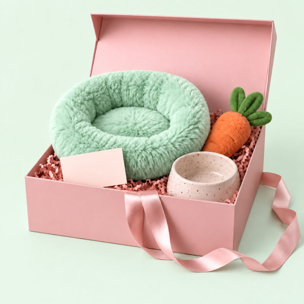 Coffret Bienvenue chiot Softy, coloris menthe, photo packshot