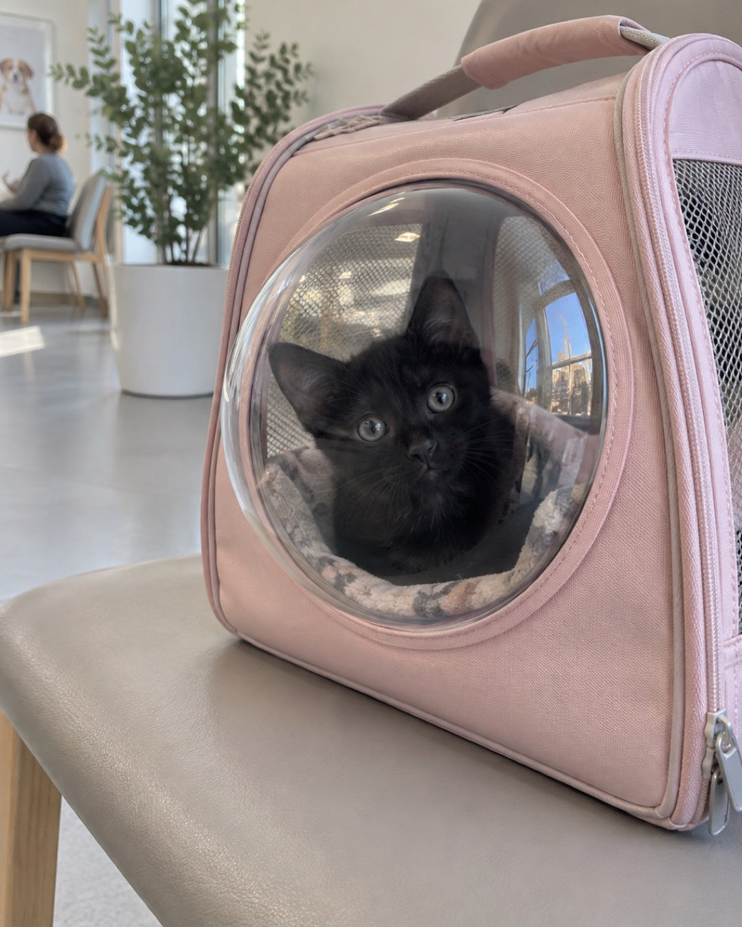 Photo d'un client Softy et de son animal